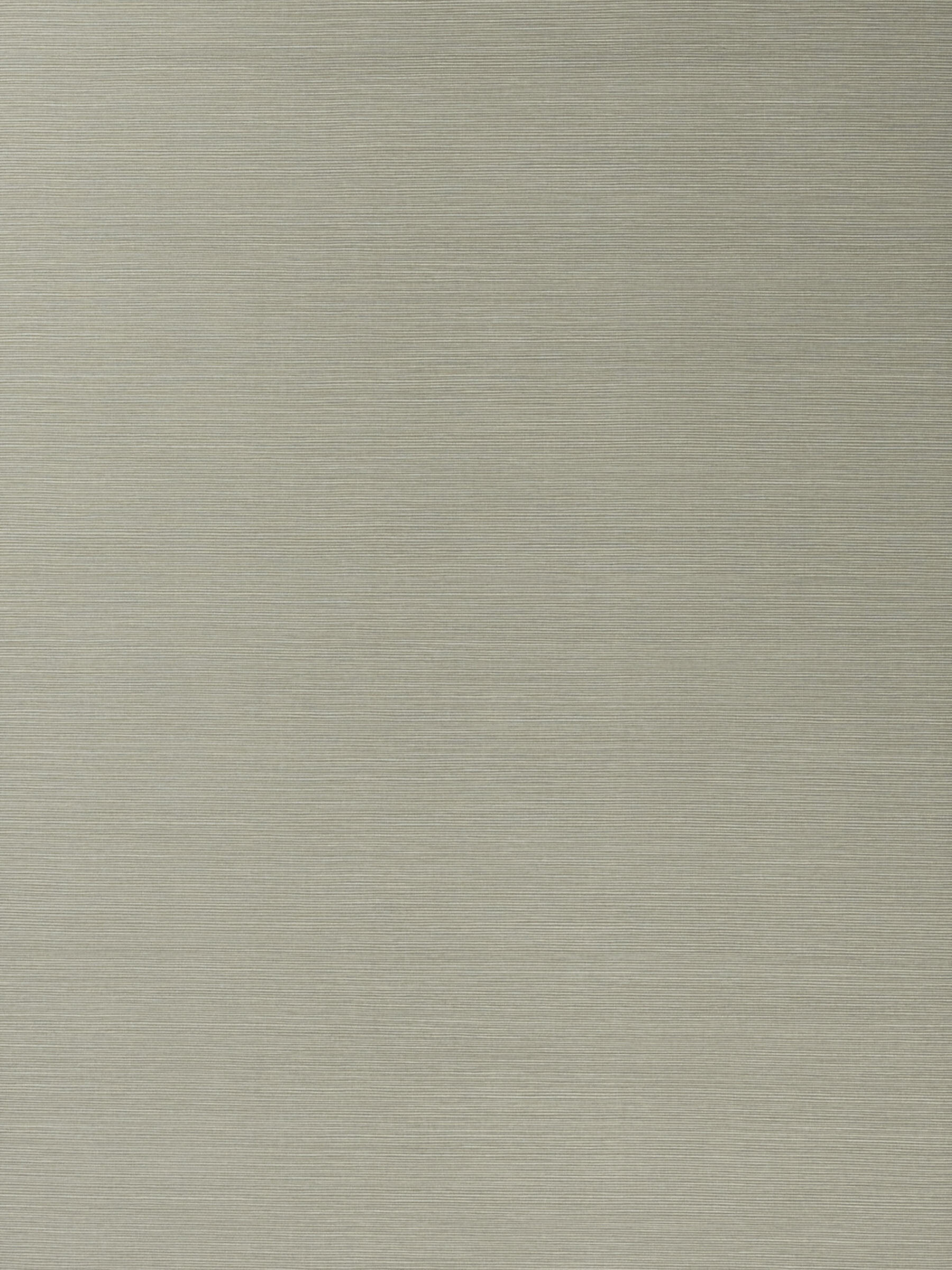 Salix Elephant 16