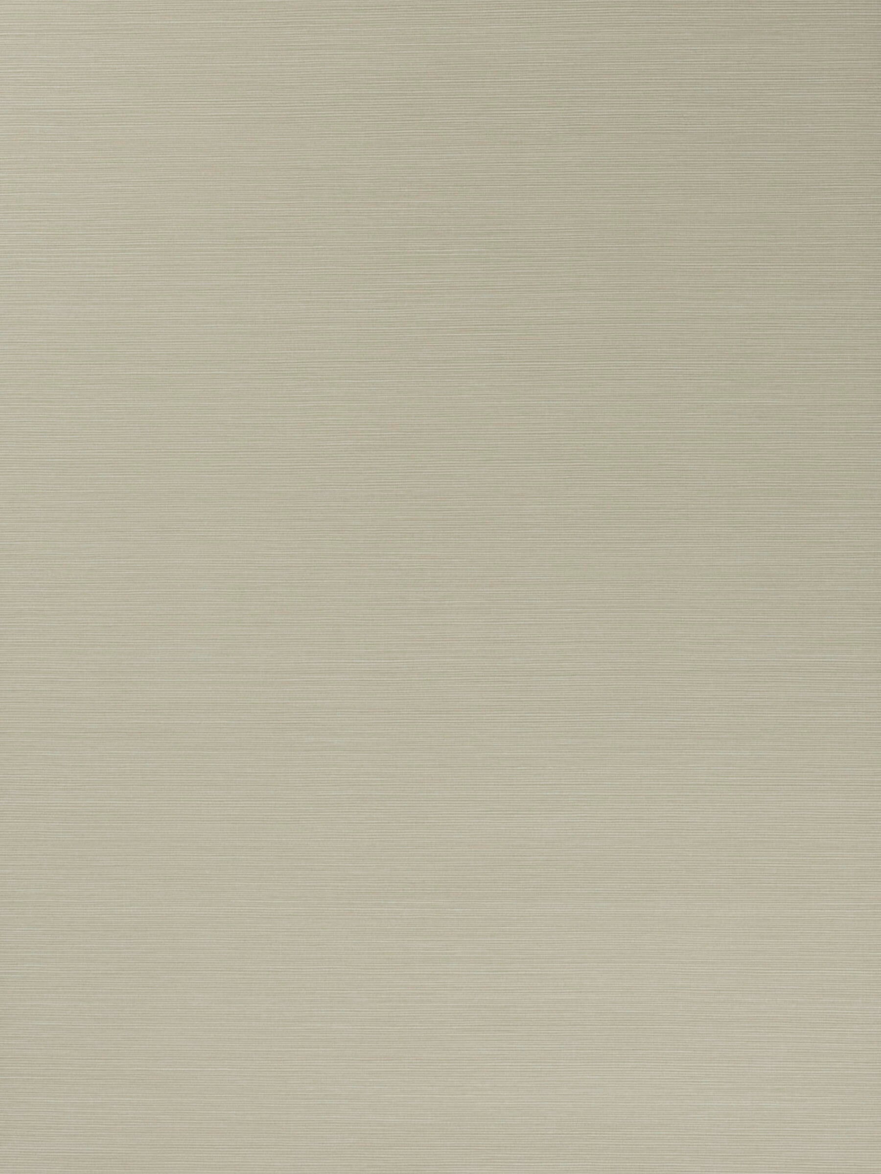 Salix Birch 07